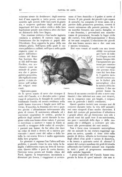 Natura ed arte rivista illustrata quindicinale italiana e straniera di scienze, lettere ed arti