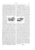 giornale/TO00189526/1893-1894/unico/00000067