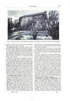 giornale/TO00189526/1893-1894/unico/00000207