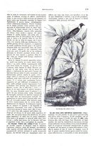 giornale/TO00189526/1893-1894/unico/00000209