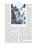 giornale/TO00189526/1893-1894/unico/00000252