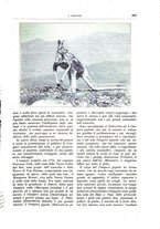 giornale/TO00189526/1893-1894/unico/00000303