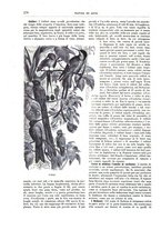 giornale/TO00189526/1893-1894/unico/00000318