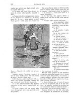 giornale/TO00189526/1893-1894/unico/00000394
