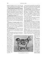 giornale/TO00189526/1893-1894/unico/00000414