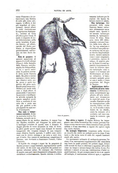 Natura ed arte rivista illustrata quindicinale italiana e straniera di scienze, lettere ed arti