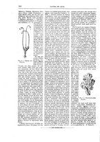 giornale/TO00189526/1894-1895/unico/00000224