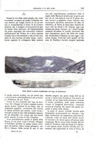 giornale/TO00189526/1894-1895/unico/00000283