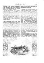 giornale/TO00189526/1894-1895/unico/00000669