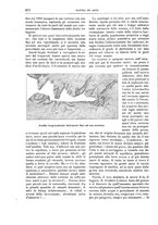 giornale/TO00189526/1894-1895/unico/00000766