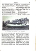 giornale/TO00189526/1895-1896/unico/00000115