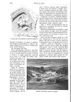 giornale/TO00189526/1895-1896/unico/00000240