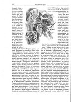 giornale/TO00189526/1895-1896/unico/00000262