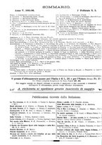 giornale/TO00189526/1895-1896/unico/00000402