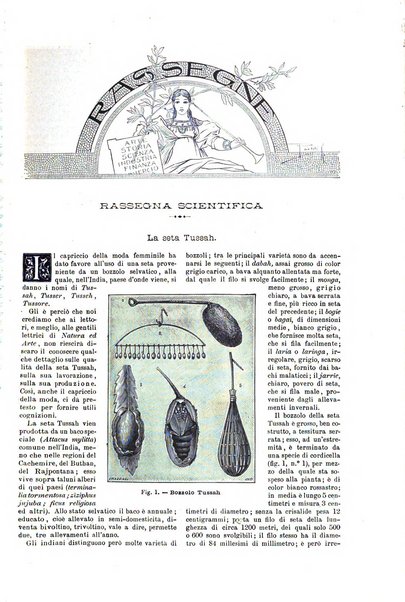 Natura ed arte rivista illustrata quindicinale italiana e straniera di scienze, lettere ed arti