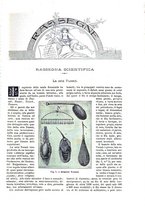 giornale/TO00189526/1895-1896/unico/00000475