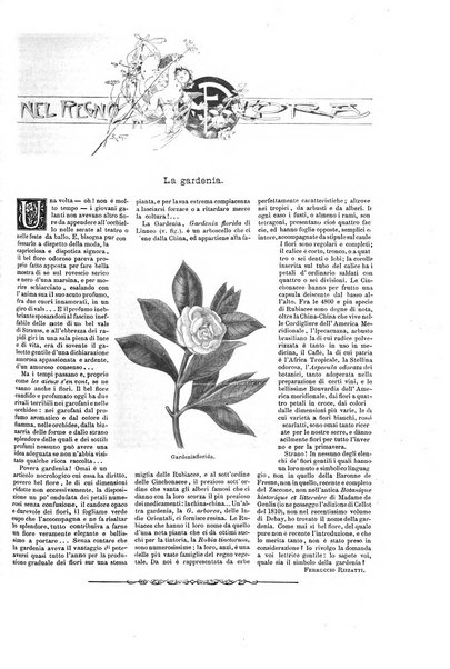 Natura ed arte rivista illustrata quindicinale italiana e straniera di scienze, lettere ed arti