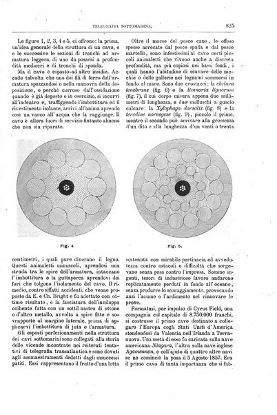 Natura ed arte rivista illustrata quindicinale italiana e straniera di scienze, lettere ed arti