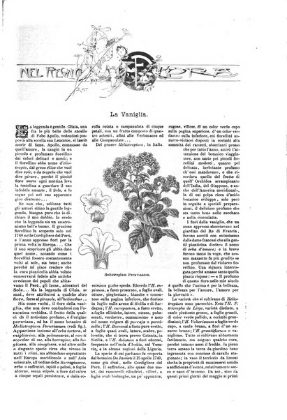 Natura ed arte rivista illustrata quindicinale italiana e straniera di scienze, lettere ed arti