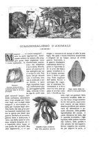 giornale/TO00189526/1895-1896/unico/00001111