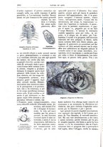 giornale/TO00189526/1895-1896/unico/00001114