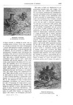 giornale/TO00189526/1895-1896/unico/00001115