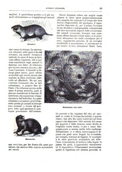 Natura ed arte rivista illustrata quindicinale italiana e straniera di scienze, lettere ed arti