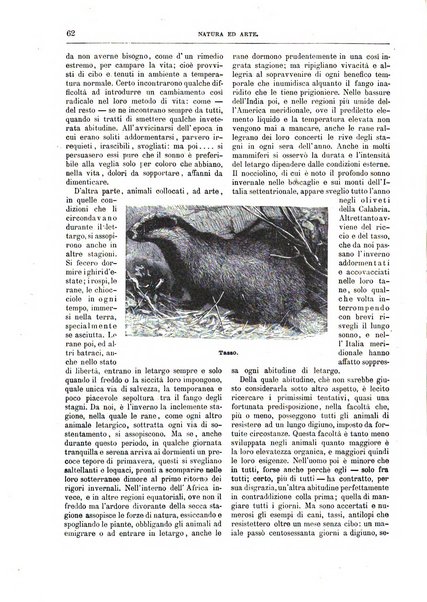 Natura ed arte rivista illustrata quindicinale italiana e straniera di scienze, lettere ed arti