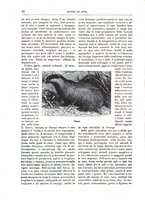 giornale/TO00189526/1895/unico/00000082