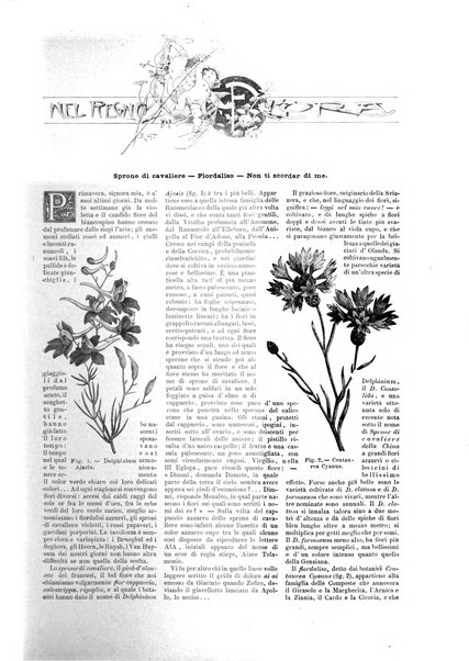 Natura ed arte rivista illustrata quindicinale italiana e straniera di scienze, lettere ed arti