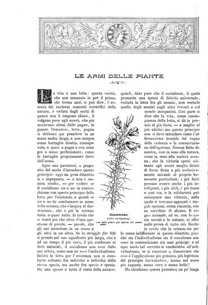 Natura ed arte rivista illustrata quindicinale italiana e straniera di scienze, lettere ed arti