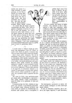 giornale/TO00189526/1895/unico/00000260