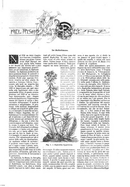 Natura ed arte rivista illustrata quindicinale italiana e straniera di scienze, lettere ed arti