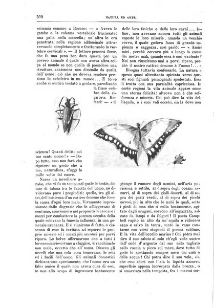 Natura ed arte rivista illustrata quindicinale italiana e straniera di scienze, lettere ed arti