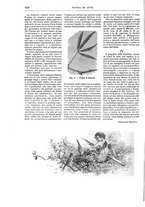 giornale/TO00189526/1895/unico/00000494