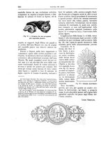 giornale/TO00189526/1895/unico/00000626