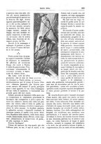 giornale/TO00189526/1895/unico/00000629