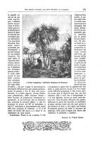 giornale/TO00189526/1895/unico/00000657