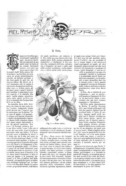 Natura ed arte rivista illustrata quindicinale italiana e straniera di scienze, lettere ed arti