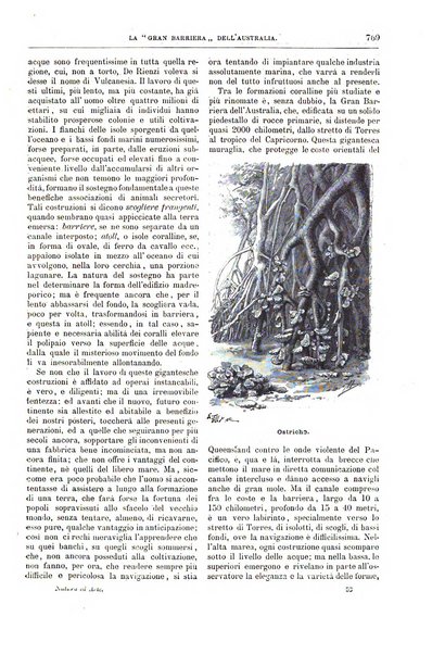 Natura ed arte rivista illustrata quindicinale italiana e straniera di scienze, lettere ed arti