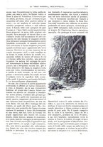 giornale/TO00189526/1895/unico/00000845