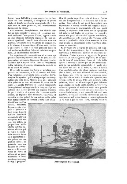 Natura ed arte rivista illustrata quindicinale italiana e straniera di scienze, lettere ed arti