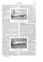 giornale/TO00189526/1895/unico/00000965