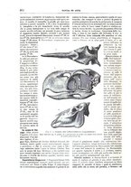 giornale/TO00189526/1895/unico/00000968