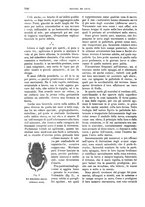 giornale/TO00189526/1895/unico/00001038