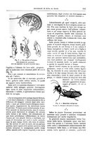 giornale/TO00189526/1895/unico/00001039