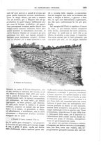 giornale/TO00189526/1895/unico/00001113