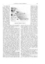 giornale/TO00189526/1896-1897/unico/00000055