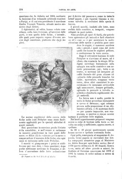 Natura ed arte rivista illustrata quindicinale italiana e straniera di scienze, lettere ed arti