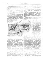 giornale/TO00189526/1896-1897/unico/00000452